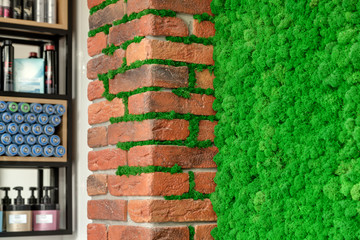 Brick wall with decorative green moss