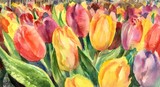 Fototapeta Tulipany - Watercolor tulip flowers meadow. Beautiful bouquet colorful tulips. Spring nature yellow, red, purple, green background. Horizontal view, copy-space. Template for designs, card, posters, wallpaper.