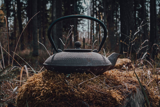 Fototapete - teapot for brewing tea on background of forest