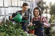 © Тарас Нагирняк - Two young workers in blue apron spend time and help each other to plant flowers in a pot and water it