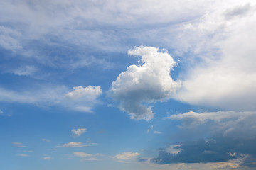 Wall Mural - white fluffy cumulus, stratus and cirrus clouds floating slowly high in the blue sky on a sunny day.