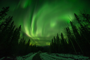 astonishing, amazing northern lights aurora borealis seen in yukon territory, northern canada in fal