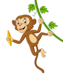 Poster - Cartoon monkey hanging and holds banana in tree branch