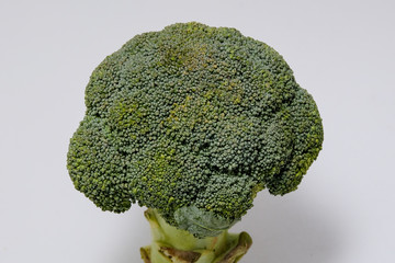 Fresh broccoli isolated on white background