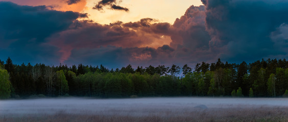 Wall Mural - dangerous, dramatic evening storm passing over the forest-panorama