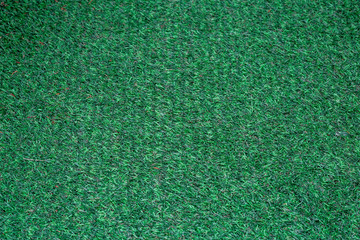 green grass texture