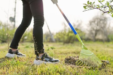 Spring cleaning in the garden, closeup rake cleaning green grass