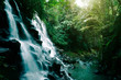 Waterfall in jungle, Ubud, Bali, Indonesia