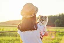 Child Girl In Hat With Gray Fluffy Cat In Her Arms. Beautiful Sunset Country Landscape Background