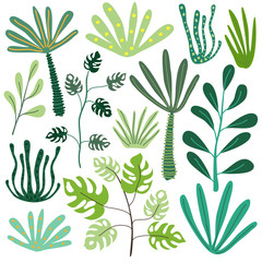 Set of tropical plants. Various exotic plants in cartoon style. Vector illustration isolated on a white background for design and web.