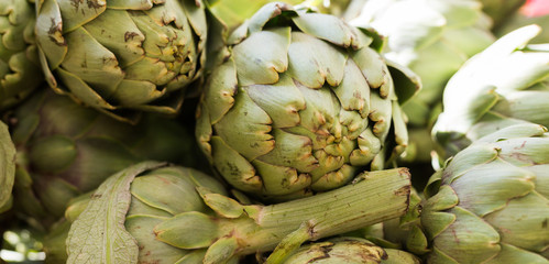 Fresh artichokes on market counter