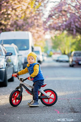 Poster - Children, playing on the street with blooming pink cherry trees on sunset