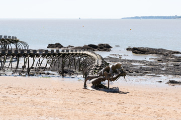 Wall Mural - Ocean snake art in Saint Brévin les pins sand beach french Loire estuary atlantic coast France