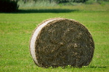 Close-up Of Hay Bales On Field