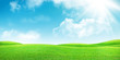 Green grass field and clear blue sky