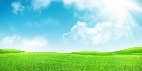 green grass field and clear blue sky