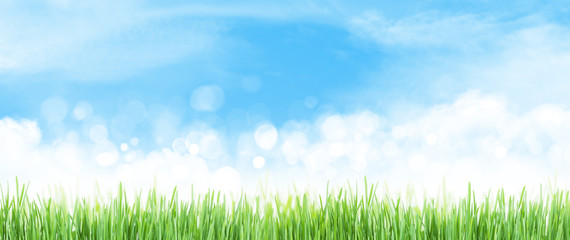 Abstract summer grass field and sky wide backdrop