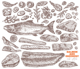 Vector set of slices, fillet, steak of salmon for bbq and collection of greenery salad, tomato, arugula. Hand drawn seafood, red fish and vegetables. Sketch illustration of meat food products