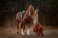 Beautiful Long-haired Blonde Young Woman In English Style With Red Draft Horse, Irish Setter And Weimaraner Dogs In Autumn Forest