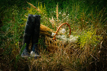 Composition With Black Rubber Women's Boots And Wicker Basket With Field Grass And Flowers Collected