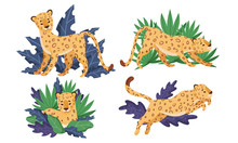 Spotted Leopard In Standing And Jumping Pose Vector Set