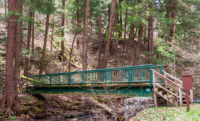 Wooden steps leading to a weathered, metal bridge in the woods in Warren County, Pennsylvania, USA