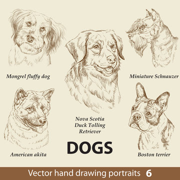Set of hand drawing dogs 6