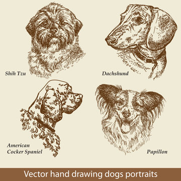 Set of hand drawing dogs