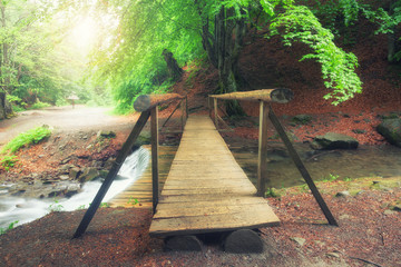 Wall Mural - A picturesque wooden bridge across a stream in the middle of a deciduous green summer forest. Crossing a small river. Spring season.