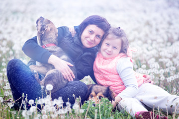 Wall Mural - Dogs and their owner in magic dandelion meadow.