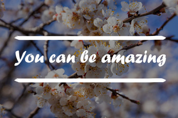 Wall Mural - Inspirational Quote - you can be amazing with flowers in background