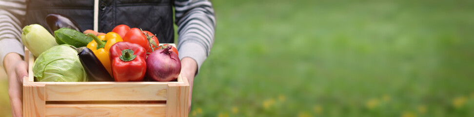 Man's hands holding wooden crate with fresh organic vegetables from vegetable garden.Cabbage, pepper, eggplant, carrot, cucumber.Raw healthy food concept. Concept of biological, bio products. Banner