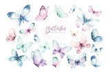 Fototapeta  - Watercolor colorful butterflies, isolated butterfly on white background. blue, yellow, pink and red butterfly spring illustration.