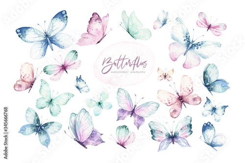 Fotografía Watercolor colorful butterflies, isolated butterfly on white background