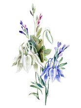 Summer Bouquet With Columbine Flowers. Watercolor Illustration. 