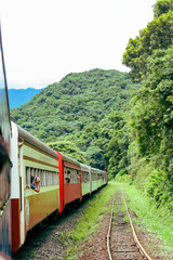 Pessoas viajando em um trem com vagões coloridos no meio da floresta. Maria fumaça em trilhos antigos no meio da vegetação.