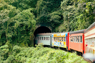 Pessoas viajando em um trem com vagões coloridos no meio da floresta. Maria fumaça em trilhos antigos no meio da vegetação.