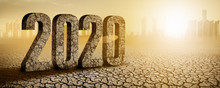 Figures 2020 In The Desert. This Year Is The Hottest Year In History