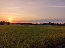 Scenic View Of Field Against Sky During Sunset