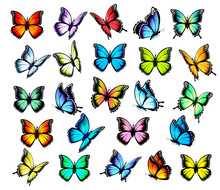 Big Group Of Colorful Butterflies, Flying In Different Directions. Vector.