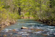 Richland Creek