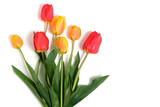 Fototapeta Tulipany - Red and yellow tulips on a white background.