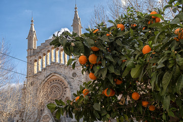 the picturesque surroundings of the island of Mallorca in Spain. Island scenery, view of historic buildings, seascape panorama Majorca Spain, beautiful coast , Mediterranean Sea, Balearic Islands.