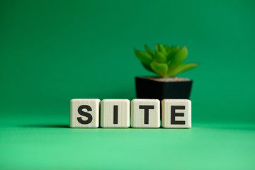 Poster - SITE - business concept on a green background. Wooden cubes and flower in a pot.