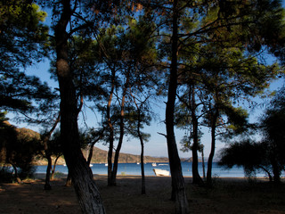 the picturesque surroundings of the Marmaris inTurkey.
seascape panorama Marmaris inTurkey, beautiful coast , Mediterranean Sea.