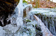 frozen waterfall in forest