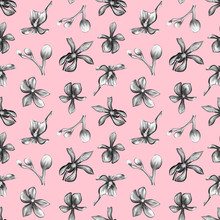 Seamless Botanical Pattern Of An Orchid On A Pink Background. Beautiful Botanical Illustration Of Orchids. 
