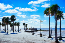 Florida Hernando Beach Landscape