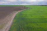 Fototapeta Krajobraz - aerial view, dirt road divides green and brown field