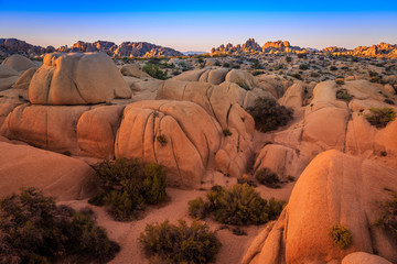 Sunset on the Jumbo Rocks of Joshua Tree National Park, California